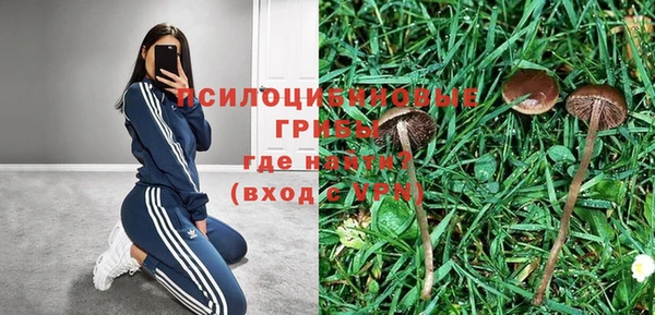 гашик Пролетарск