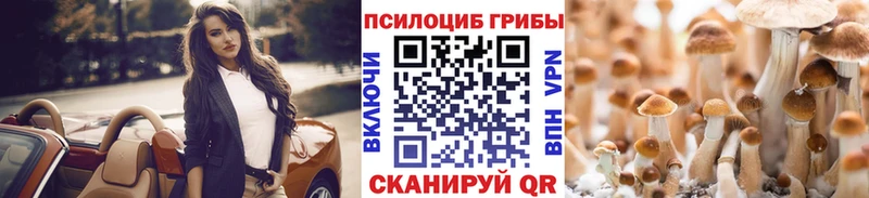 Галлюциногенные грибы Magic Shrooms  Сланцы 