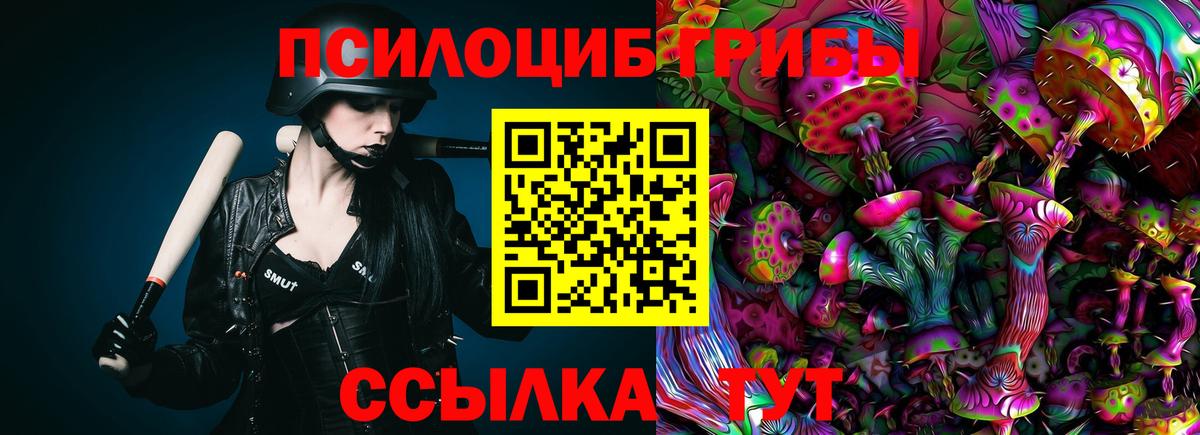 Галлюциногенные грибы ЛСД Сланцы